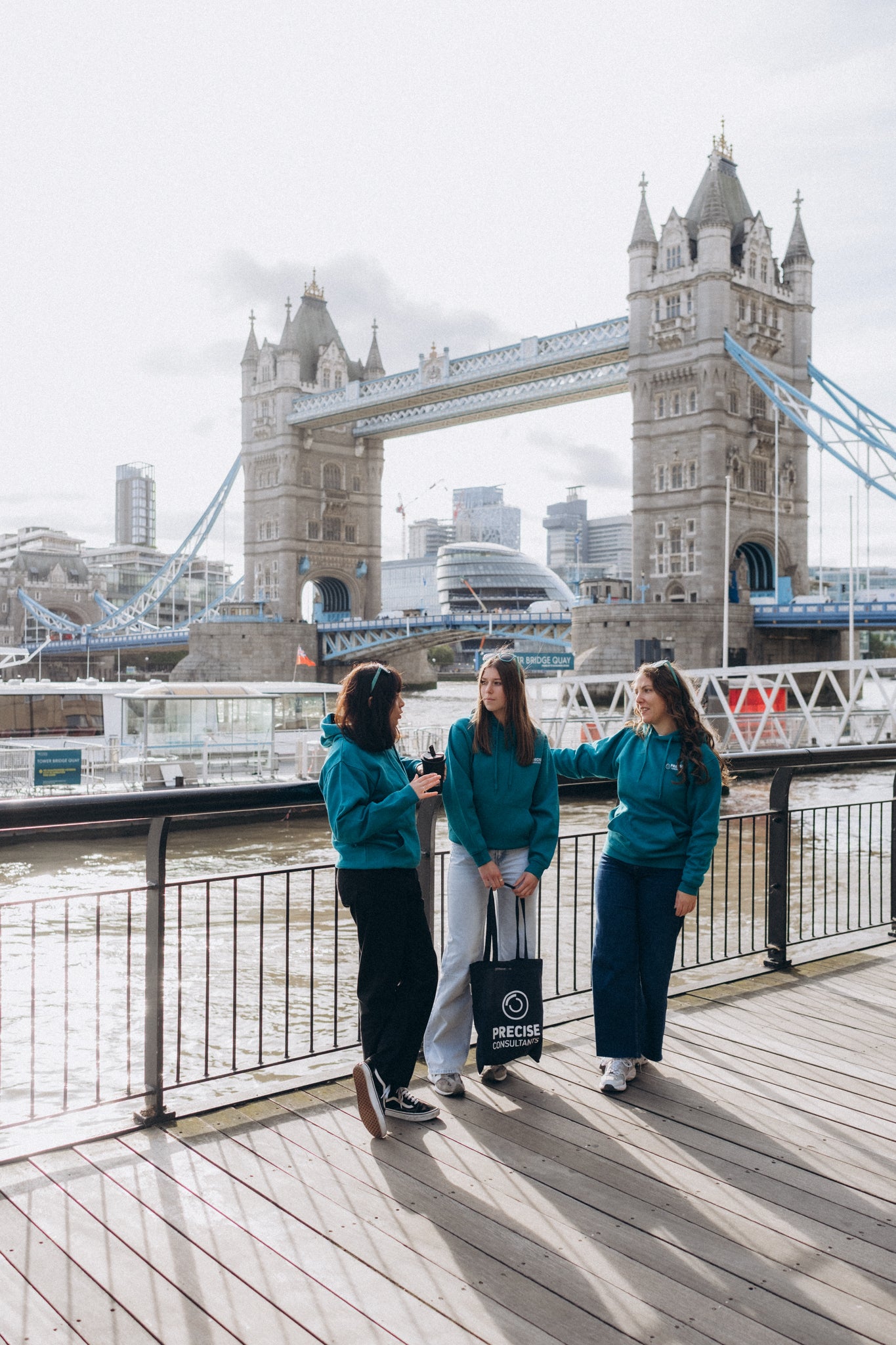 Precise Consultants Hoodie