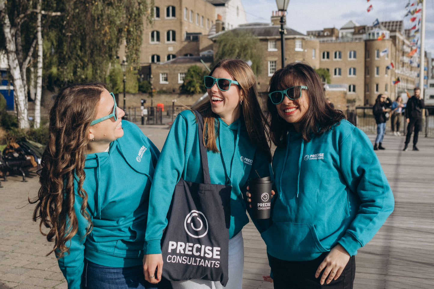 Precise Consultants Hoodie